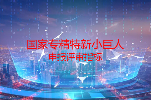 國家<a href=http://www.snjxsy.cn/fuwu/zhuanjingtexin.html target=_blank class=infotextkey>專精特新小巨人申報(bào)</a>評(píng)審指標(biāo)