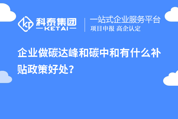 企業(yè)做碳達(dá)峰和碳中和有什么補(bǔ)貼政策好處？