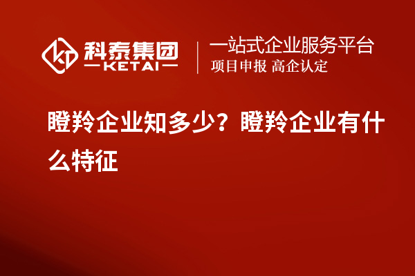 瞪羚企業(yè)知多少？瞪羚企業(yè)有什么特征