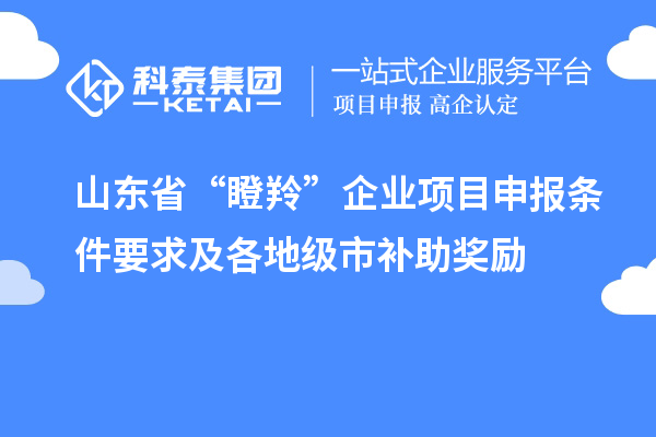 山東省“瞪羚”企業(yè)<a href=http://www.snjxsy.cn/shenbao.html target=_blank class=infotextkey>項(xiàng)目申報(bào)</a>條件要求及各地級(jí)市補(bǔ)助獎(jiǎng)勵(lì)