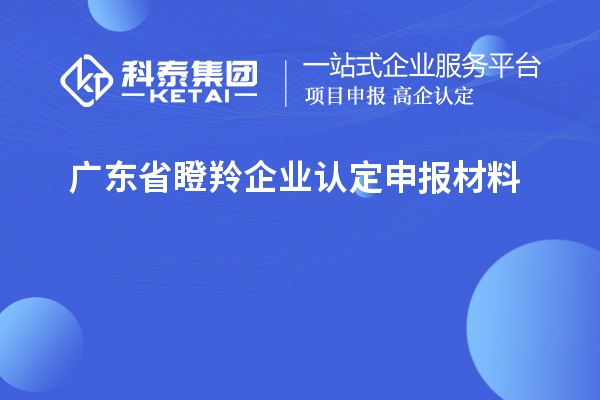 廣東省<a href=http://www.snjxsy.cn/fuwu/dengling.html target=_blank class=infotextkey>瞪羚企業(yè)認定</a>申報材料