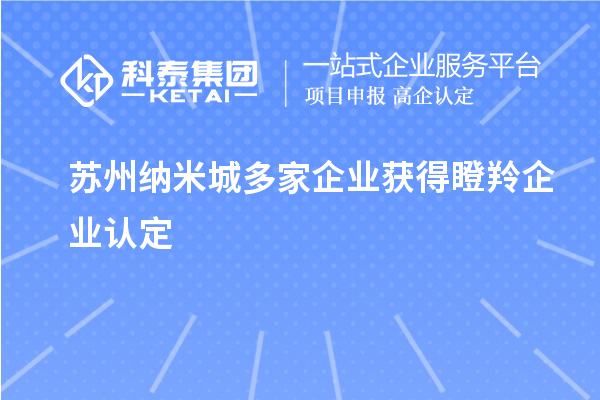蘇州納米城多家企業(yè)獲得<a href=http://www.snjxsy.cn/fuwu/dengling.html target=_blank class=infotextkey>瞪羚企業(yè)認定</a>