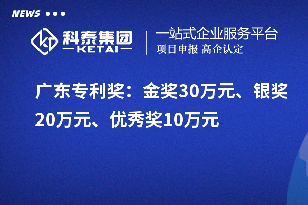 廣東專利獎：金獎30萬元、銀獎20萬元、優(yōu)秀獎10萬元（省級）
