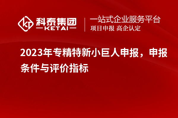 2023年<a href=http://www.snjxsy.cn/fuwu/zhuanjingtexin.html target=_blank class=infotextkey>專精特新小巨人申報(bào)</a>，申報(bào)條件與評價(jià)指標(biāo)