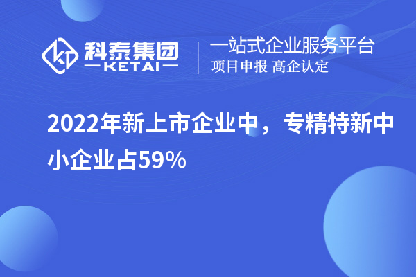 2022年新上市企業(yè)中，<a href=http://www.snjxsy.cn/fuwu/zhuanjingtexin.html target=_blank class=infotextkey>專(zhuān)精特新中小企業(yè)</a>占59%