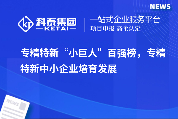 專精特新“小巨人”百強(qiáng)榜，<a href=http://www.snjxsy.cn/fuwu/zhuanjingtexin.html target=_blank class=infotextkey>專精特新中小企業(yè)</a>培育發(fā)展