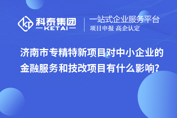 濟(jì)南市專精特新項(xiàng)目對(duì)中小企業(yè)的金融服務(wù)和<a href=http://www.snjxsy.cn/fuwu/jishugaizao.html target=_blank class=infotextkey>技改</a>項(xiàng)目有什么影響？