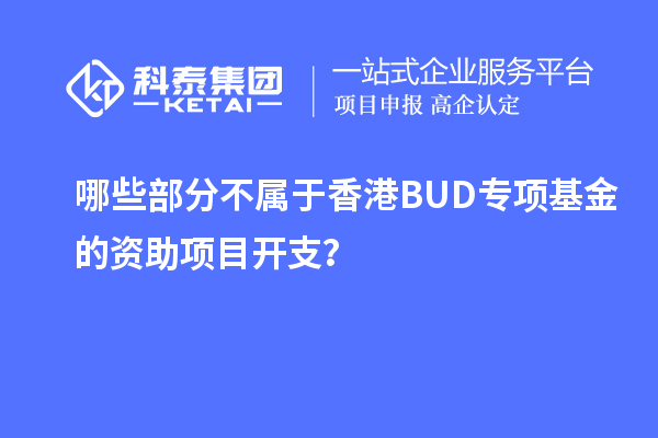 哪些部分不屬于香港BUD專項基金的資助項目開支？
