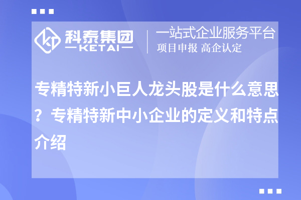 專精特新小巨人龍頭股是什么意思？<a href=http://www.snjxsy.cn/fuwu/zhuanjingtexin.html target=_blank class=infotextkey>專精特新中小企業(yè)</a>的定義和特點(diǎn)介紹