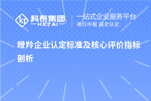 <a href=http://www.snjxsy.cn/fuwu/dengling.html target=_blank class=infotextkey>瞪羚企業(yè)認(rèn)定</a>標(biāo)準(zhǔn)及核心評(píng)價(jià)指標(biāo)剖析		 		