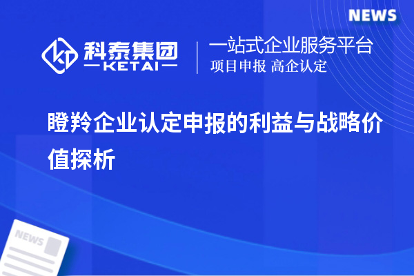 <a href=http://www.snjxsy.cn/fuwu/dengling.html target=_blank class=infotextkey>瞪羚企業(yè)認(rèn)定</a>申報的利益與戰(zhàn)略價值探析		 		