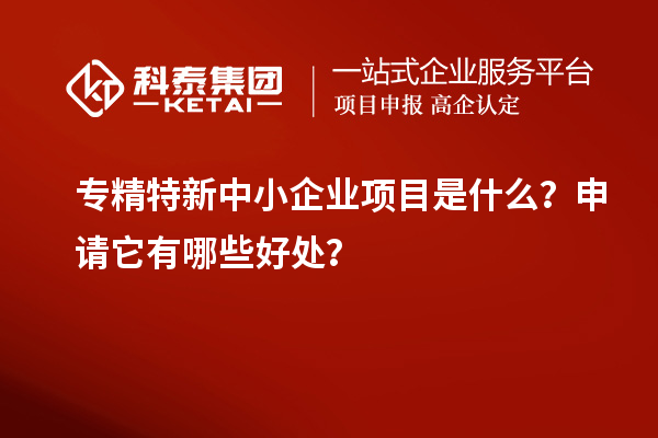 專精特新中小企業(yè)項(xiàng)目是什么？申請(qǐng)它有哪些好處？