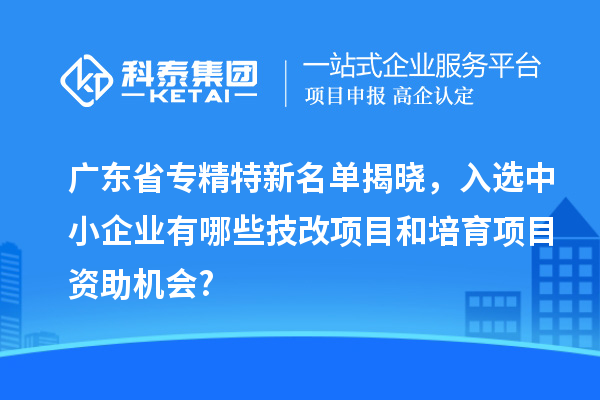 廣東省專精特新名單揭曉,入選中小企業(yè)有哪些技改項(xiàng)目和培育項(xiàng)目資助機(jī)會(huì)?