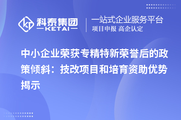 中小企業(yè)榮獲專精特新榮譽(yù)后的政策傾斜：<a href=http://www.snjxsy.cn/fuwu/jishugaizao.html target=_blank class=infotextkey>技改</a>項(xiàng)目和培育資助優(yōu)勢(shì)揭示