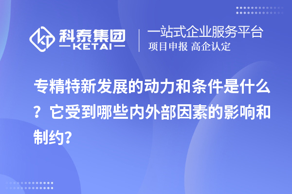 專精特新發(fā)展的動力和條件是什么？它受到哪些內(nèi)外部因素的影響和制約？