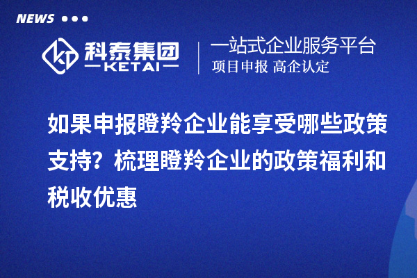 如果申報(bào)瞪羚企業(yè)能享受哪些政策支持?梳理瞪羚企業(yè)的政策福利和稅收優(yōu)惠