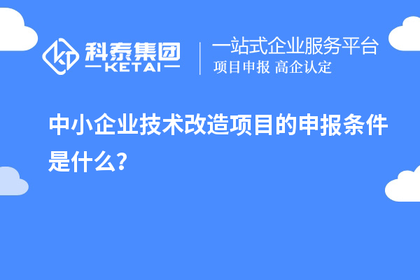 中小企業(yè)<a href=http://www.snjxsy.cn/fuwu/jishugaizao.html target=_blank class=infotextkey>技術(shù)改造</a>項目的申報條件是什么？