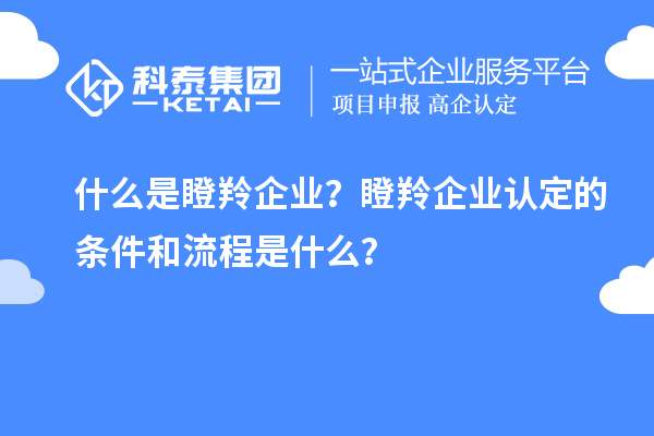 什么是瞪羚企業(yè)？<a href=http://www.snjxsy.cn/fuwu/dengling.html target=_blank class=infotextkey>瞪羚企業(yè)認定</a>的條件和流程是什么？