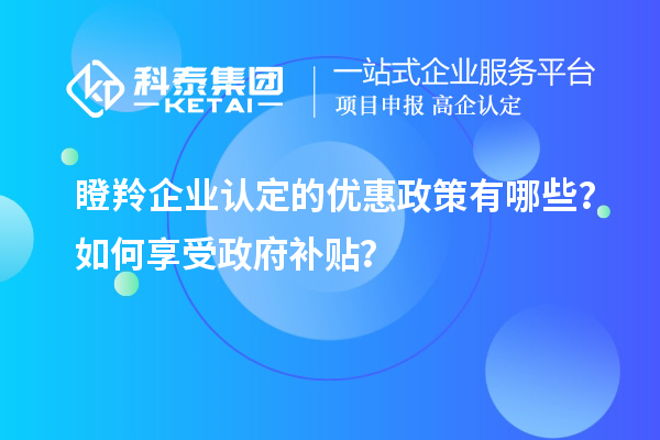 <a href=http://www.snjxsy.cn/fuwu/dengling.html target=_blank class=infotextkey>瞪羚企業(yè)認(rèn)定</a>的優(yōu)惠政策有哪些？如何享受政府補(bǔ)貼？