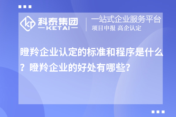 <a href=http://www.snjxsy.cn/fuwu/dengling.html target=_blank class=infotextkey>瞪羚企業(yè)認定</a>的標準和程序是什么？瞪羚企業(yè)的好處有哪些？