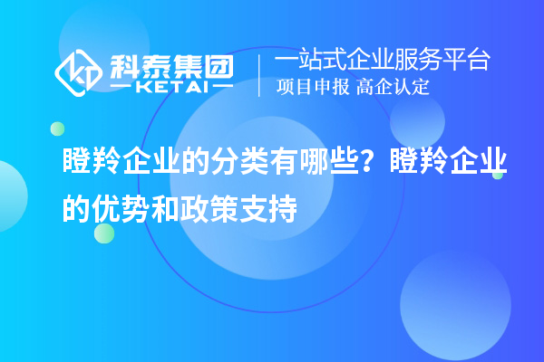瞪羚企業(yè)的分類有哪些？瞪羚企業(yè)的優(yōu)勢(shì)和政策支持