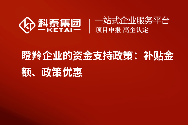 瞪羚企業(yè)的資金支持政策：補(bǔ)貼金額、政策優(yōu)惠