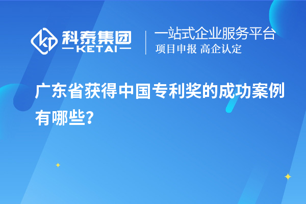 廣東省獲得中國專利獎的成功案例有哪些？