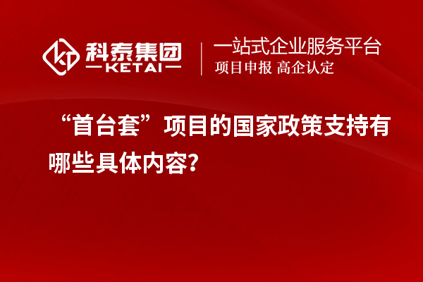 “<a href=http://www.snjxsy.cn/stt/ target=_blank class=infotextkey>首臺套</a>”項目的國家政策支持有哪些具體內容？