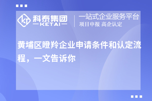 黃埔區(qū)瞪羚企業(yè)申請條件和認(rèn)定流程，一文告訴你