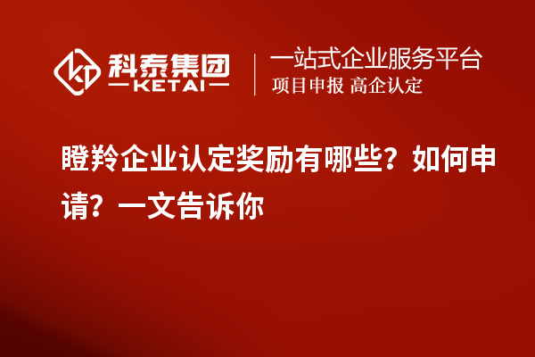 <a href=http://www.snjxsy.cn/fuwu/dengling.html target=_blank class=infotextkey>瞪羚企業(yè)認定</a>獎勵有哪些？如何申請？一文告訴你