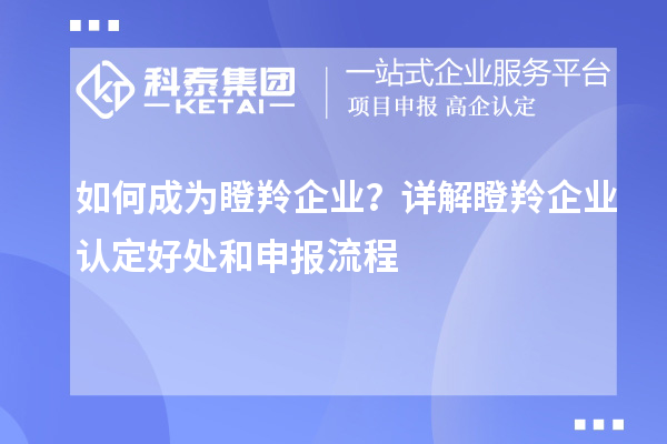 如何成為瞪羚企業(yè)？詳解<a href=http://www.snjxsy.cn/fuwu/dengling.html target=_blank class=infotextkey>瞪羚企業(yè)認(rèn)定</a>好處和申報流程