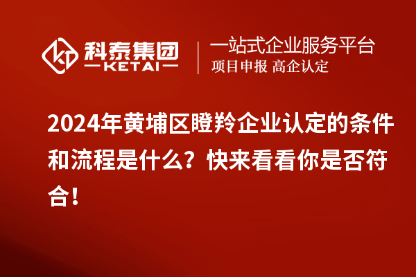 2024年黃埔區(qū)<a href=http://www.snjxsy.cn/fuwu/dengling.html target=_blank class=infotextkey>瞪羚企業(yè)認(rèn)定</a>的條件和流程是什么？快來(lái)看看你是否符合！
