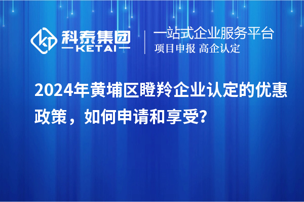 2024年黃埔區(qū)<a href=http://www.snjxsy.cn/fuwu/dengling.html target=_blank class=infotextkey>瞪羚企業(yè)認(rèn)定</a>的優(yōu)惠政策，如何申請(qǐng)和享受？