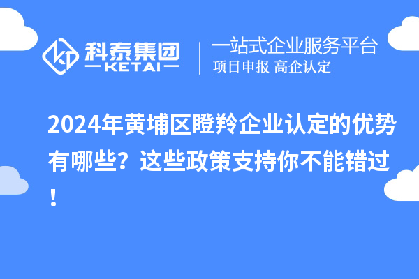 2024年黃埔區(qū)瞪羚企業(yè)認定的優(yōu)勢有哪些？這些政策支持你不能錯過！