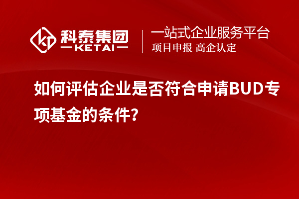 如何評(píng)估企業(yè)是否符合申請(qǐng)BUD專(zhuān)項(xiàng)基金的條件？