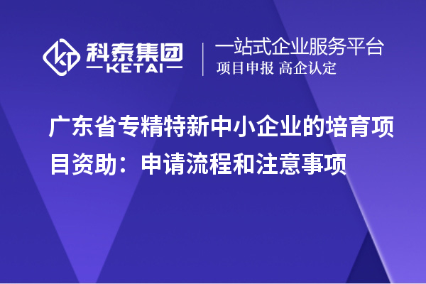 廣東省<a href=http://www.snjxsy.cn/fuwu/zhuanjingtexin.html target=_blank class=infotextkey>專精特新中小企業(yè)</a>的培育項目資助：申請流程和注意事項