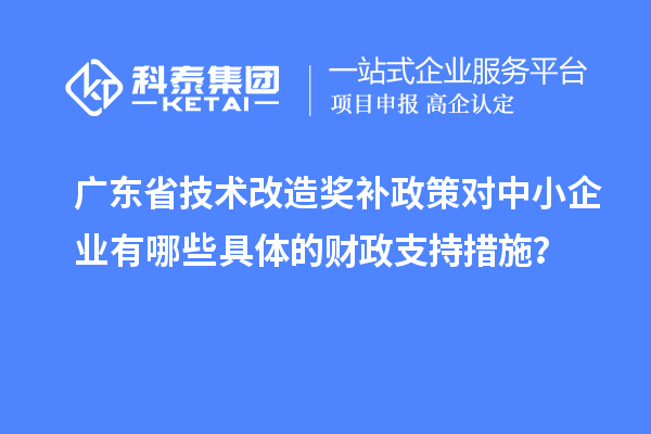 廣東省技術(shù)改造獎(jiǎng)補(bǔ)政策對(duì)中小企業(yè)有哪些具體的財(cái)政支持措施？