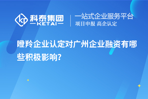 瞪羚企業(yè)認(rèn)定對(duì)廣州企業(yè)融資有哪些積極影響？