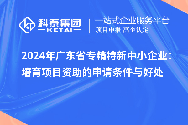 2024年廣東省<a href=http://www.snjxsy.cn/fuwu/zhuanjingtexin.html target=_blank class=infotextkey>專精特新中小企業(yè)</a>：培育項目資助的申請條件與好處