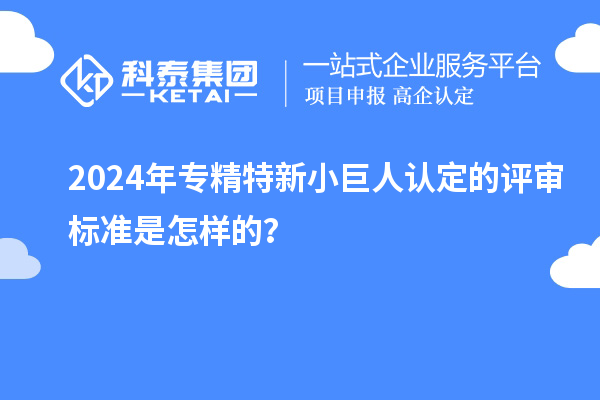 2024年專精特新小巨人認定的評審標準是怎樣的？
