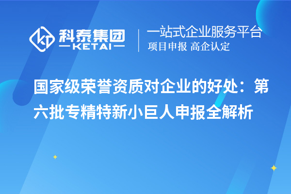 國家級(jí)榮譽(yù)資質(zhì)對(duì)企業(yè)的好處：第六批<a href=http://www.snjxsy.cn/fuwu/zhuanjingtexin.html target=_blank class=infotextkey>專精特新小巨人申報(bào)</a>全解析
