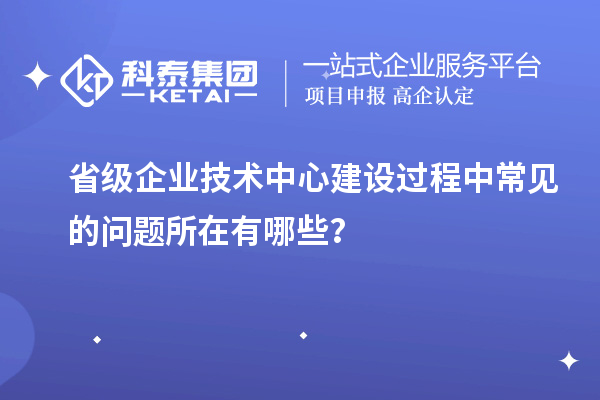 省級企業(yè)技術(shù)中心建設(shè)過程中常見的問題所在有哪些？