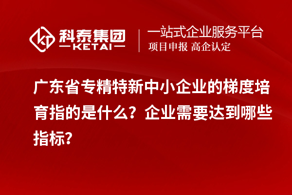 廣東省專精特新中小企業(yè)的梯度培育指的是什么？企業(yè)需要達(dá)到哪些指標(biāo)？