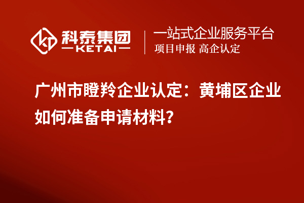廣州市<a href=http://www.snjxsy.cn/fuwu/dengling.html target=_blank class=infotextkey>瞪羚企業(yè)認定</a>：黃埔區(qū)企業(yè)如何準備申請材料？