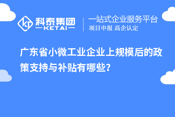 廣東省小微工業(yè)企業(yè)上規(guī)模后的政策支持與補(bǔ)貼有哪些？