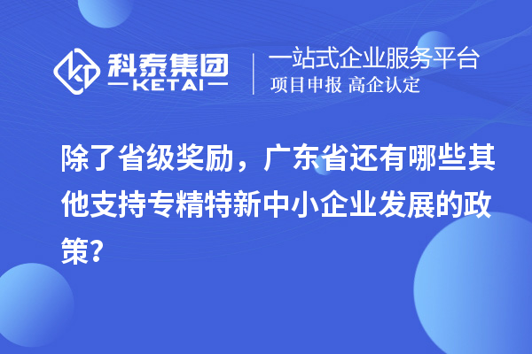 除了省級(jí)獎(jiǎng)勵(lì)，廣東省還有哪些其他支持專精特新中小企業(yè)發(fā)展的政策？