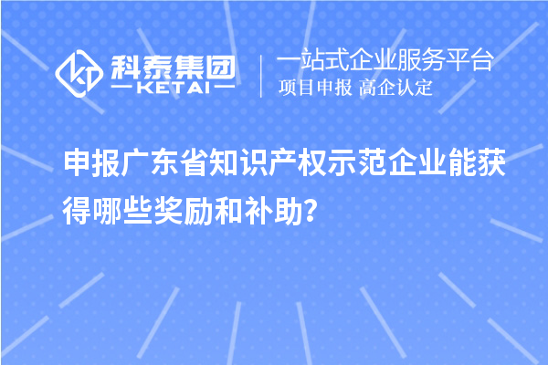申報(bào)廣東省知識(shí)產(chǎn)權(quán)示范企業(yè)能獲得哪些獎(jiǎng)勵(lì)和補(bǔ)助？