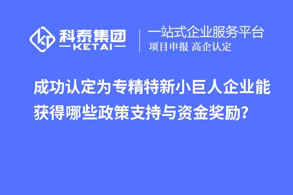 成功認(rèn)定為專精特新小巨人企業(yè)能獲得哪些政策支持與資金獎(jiǎng)勵(lì)？