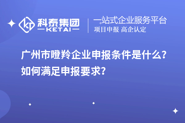 廣州市瞪羚企業(yè)申報(bào)條件是什么？如何滿足申報(bào)要求？