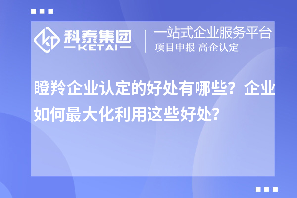 <a href=http://www.snjxsy.cn/fuwu/dengling.html target=_blank class=infotextkey>瞪羚企業(yè)認(rèn)定</a>的好處有哪些？企業(yè)如何最大化利用這些好處？